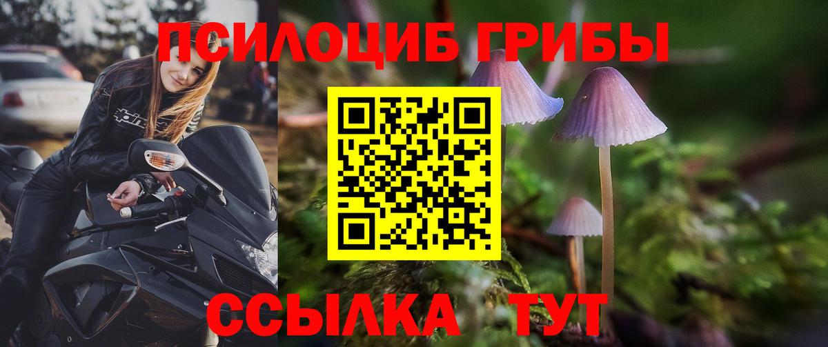 Галлюциногенные грибы GOLDEN TEACHER Йошкар-Ола